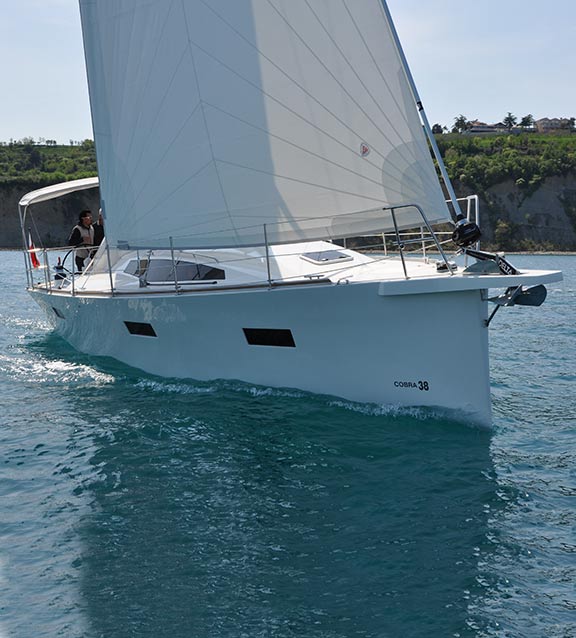 cobra38-main.jpg